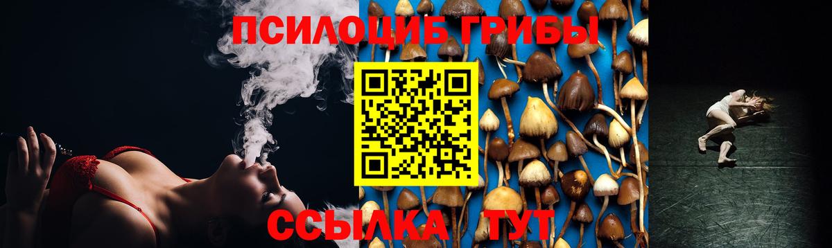 Псилоцибиновые грибы GOLDEN TEACHER  Вход с VPN  Псилоцибиновые грибы Magic Shrooms  дарнет шоп  Уварово 